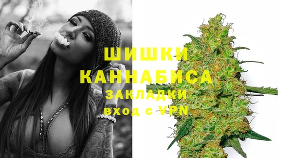 стаф Абдулино