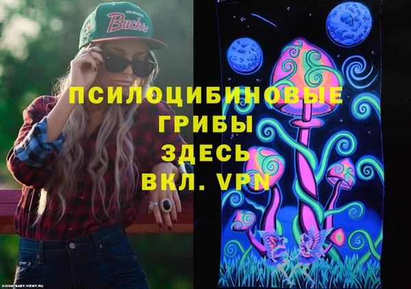 стаф Абдулино