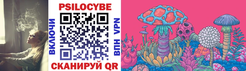 Псилоцибиновые грибы Cubensis  закладка  Сольцы 