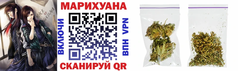 Конопля гибрид  Сольцы 